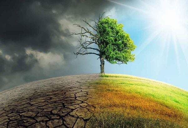 bảo vệ môi trường trong kinh doanh xăng dầu